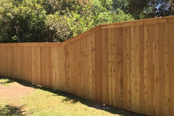 13173686_10154210726752229_6953307235251891805_n