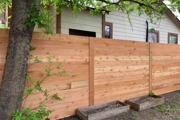 60070202_10157204159152229_6983564617968517120_n